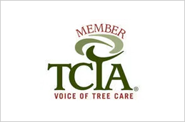 A member of the tree care industry association