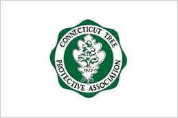 A green and white logo of the connecticut tree protective association.