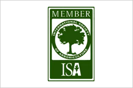 A member of the international society for arboriculture