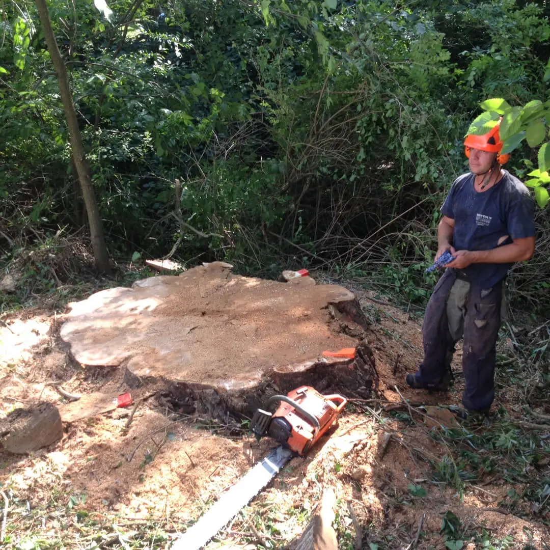 A man standing next to a tree stump.