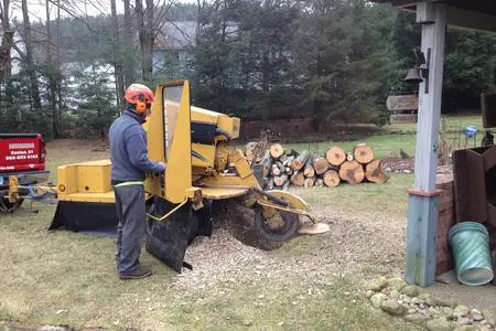 A man operating a stump grinder in the woods.